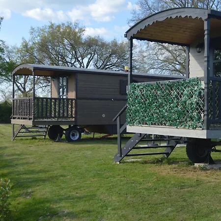 L'insolite De Nathcy *